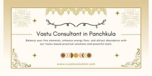 Vastu Consultant in Panchkula(2)